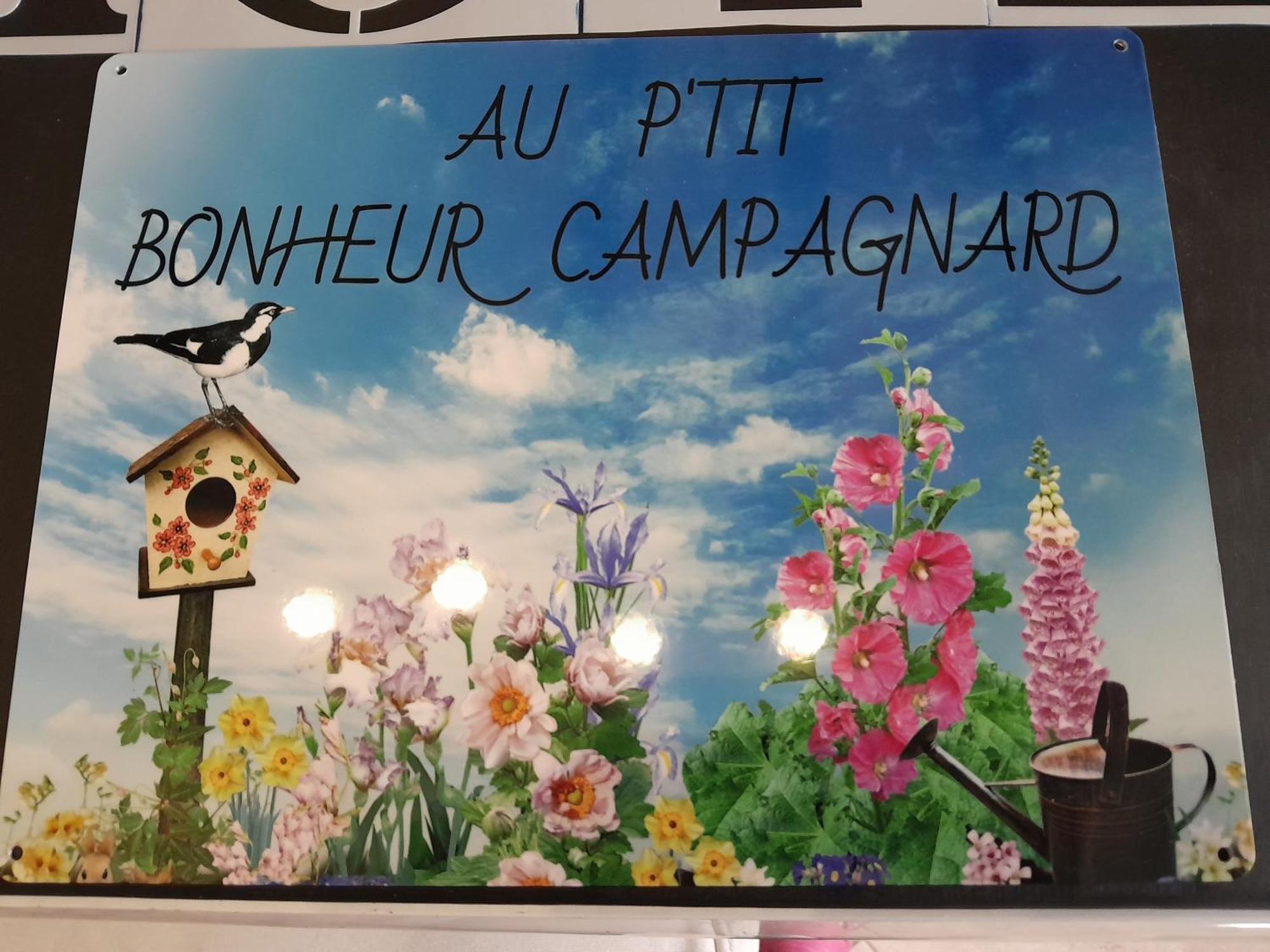 Chambres D Hotes Au P'Tit Bonheur Campagnard Jarnosse Kültér fotó